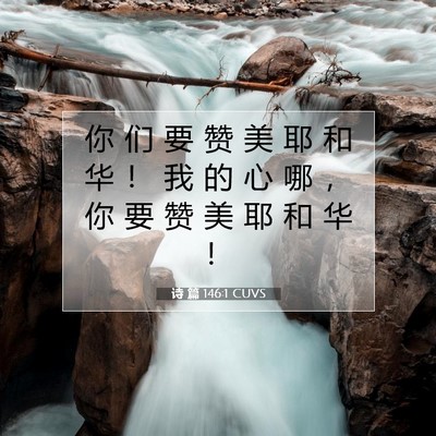 Picture 07 - 诗 篇 146:1 CUVS - 你 们 要 赞 美 耶 和 华 ！ 我 的 心 - Bible Verse Picture