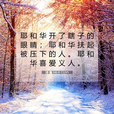 Picture 07 - 诗 篇 146:8 CUVS - 耶 和 华 开 了 瞎 子 的 眼 睛 ； 耶 - Bible Verse Picture