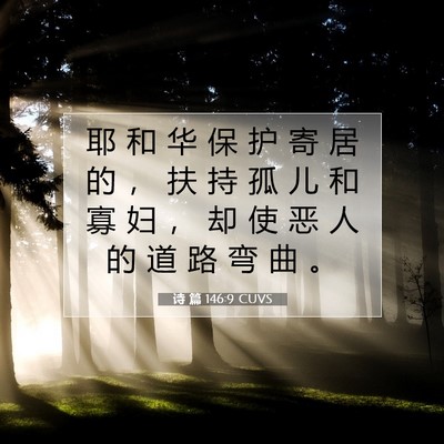 Picture 07 - 诗 篇 146:9 CUVS - 耶 和 华 保 护 寄 居 的 ， 扶 持 孤 - Bible Verse Picture