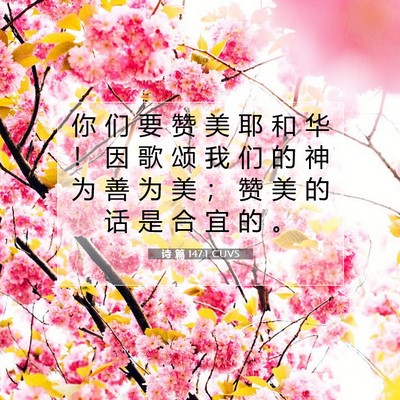 Picture 07 - 诗 篇 147:1 CUVS - 你 们 要 赞 美 耶 和 华 ！ 因 歌 颂 - Bible Verse Picture