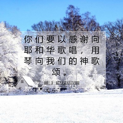 Picture 07 - 诗 篇 147:7 CUVS - 你 们 要 以 感 谢 向 耶 和 华 歌 唱 - Bible Verse Picture