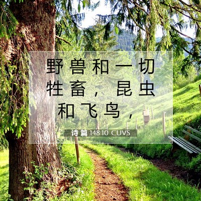 Picture 07 - 诗 篇 148:10 CUVS - 野 兽 和 一 切 牲 畜 ， 昆 虫 和 飞 - Bible Verse Picture