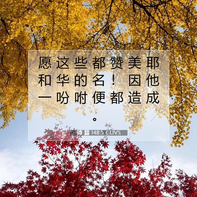 Picture 07 - 诗 篇 148:5 CUVS - 愿 这 些 都 赞 美 耶 和 华 的 名 ！ - Bible Verse Picture