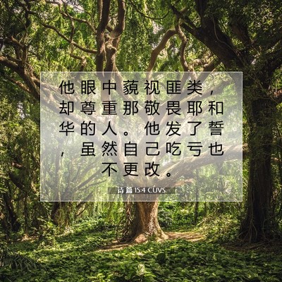 Picture 07 - 诗 篇 15:4 CUVS - 他 眼 中 藐 视 匪 类 ， 却 尊 重 那 - Bible Verse Picture