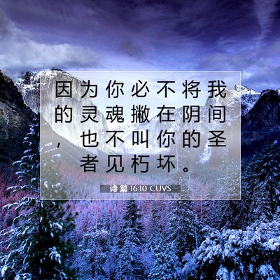 Picture 07 - 诗 篇 16:10 CUVS - 因 为 你 必 不 将 我 的 灵 魂 撇 在 - Bible Verse Picture