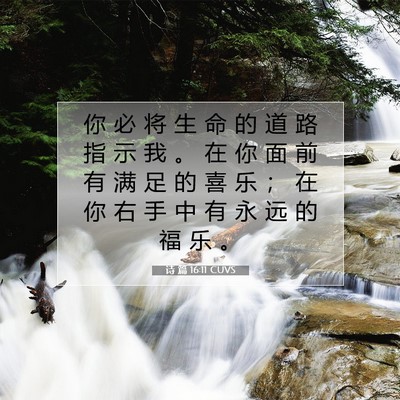 Picture 07 - 诗 篇 16:11 CUVS - 你 必 将 生 命 的 道 路 指 示 我 。 - Bible Verse Picture