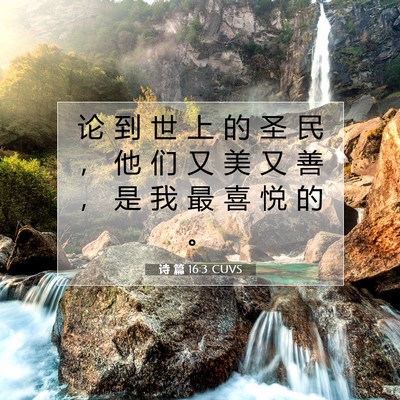 Picture 07 - 诗 篇 16:3 CUVS - 论 到 世 上 的 圣 民 ， 他 们 又 美 - Bible Verse Picture