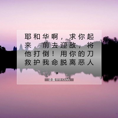 Picture 07 - 诗 篇 17:13 CUVS - 耶 和 华 啊 ， 求 你 起 来 ， 前 去 - Bible Verse Picture