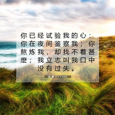 Picture 07 - 诗 篇 17:3 CUVS - 你 已 经 试 验 我 的 心 ； 你 在 夜 - Bible Verse Picture