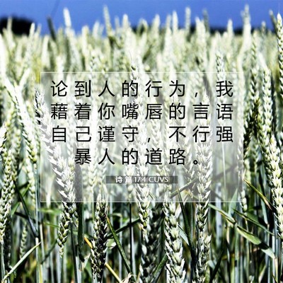 Picture 07 - 诗 篇 17:4 CUVS - 论 到 人 的 行 为 ， 我 藉 着 你 嘴 - Bible Verse Picture