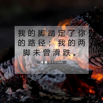 Picture 07 - 诗 篇 17:5 CUVS - 我 的 脚 踏 定 了 你 的 路 径 ； 我 - Bible Verse Picture