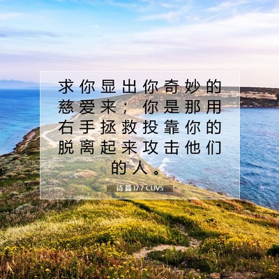 Picture 07 - 诗 篇 17:7 CUVS - 求 你 显 出 你 奇 妙 的 慈 爱 来 ； - Bible Verse Picture