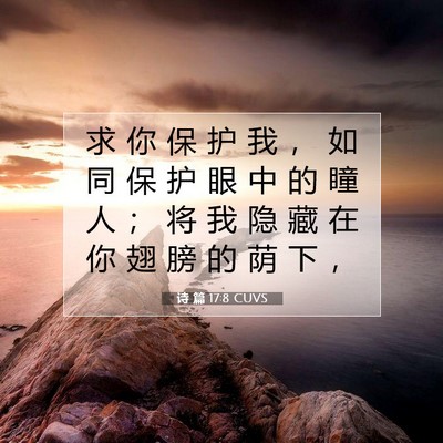 Picture 07 - 诗 篇 17:8 CUVS - 求 你 保 护 我 ， 如 同 保 护 眼 中 - Bible Verse Picture