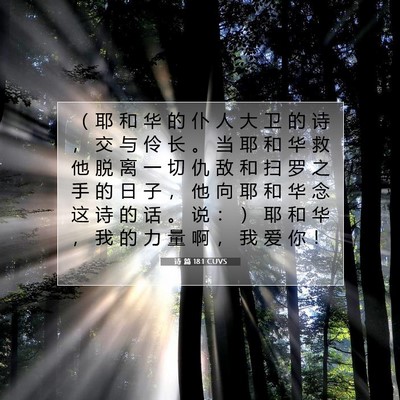 Picture 07 - 诗 篇 18:1 CUVS - （ 耶 和 华 的 仆 人 大 卫 的 诗 ， - Bible Verse Picture