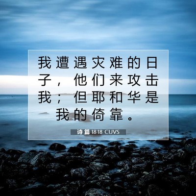 Picture 07 - 诗 篇 18:18 CUVS - 我 遭 遇 灾 难 的 日 子 ， 他 们 来 - Bible Verse Picture