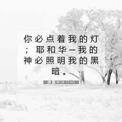 Picture 07 - 诗 篇 18:28 CUVS - 你 必 点 着 我 的 灯 ； 耶 和 华 ─ - Bible Verse Picture