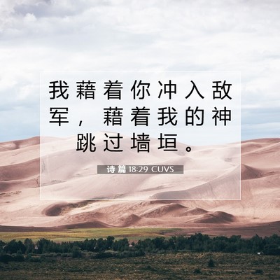 Picture 07 - 诗 篇 18:29 CUVS - 我 藉 着 你 冲 入 敌 军 ， 藉 着 我 - Bible Verse Picture