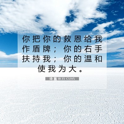 Picture 07 - 诗 篇 18:35 CUVS - 你 把 你 的 救 恩 给 我 作 盾 牌 ； - Bible Verse Picture