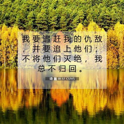 Picture 07 - 诗 篇 18:37 CUVS - 我 要 追 赶 我 的 仇 敌 ， 并 要 追 - Bible Verse Picture