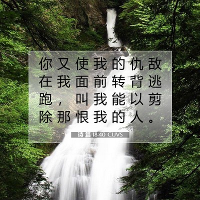 Picture 07 - 诗 篇 18:40 CUVS - 你 又 使 我 的 仇 敌 在 我 面 前 转 - Bible Verse Picture