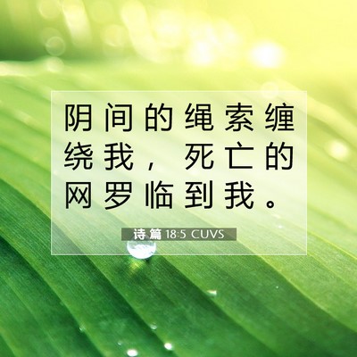 Picture 07 - 诗 篇 18:5 CUVS - 阴 间 的 绳 索 缠 绕 我 ， 死 亡 的 - Bible Verse Picture