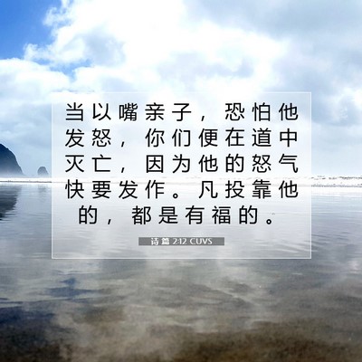 Picture 07 - 诗 篇 2:12 CUVS - 当 以 嘴 亲 子 ， 恐 怕 他 发 怒 ， - Bible Verse Picture