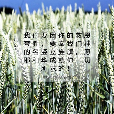 Picture 07 - 诗 篇 20:5 CUVS - 我 们 要 因 你 的 救 恩 夸 胜 ， 要 - Bible Verse Picture