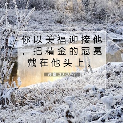 Picture 07 - 诗 篇 21:3 CUVS - 你 以 美 福 迎 接 他 ， 把 精 金 的 - Bible Verse Picture