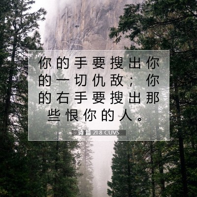 Picture 07 - 诗 篇 21:8 CUVS - 你 的 手 要 搜 出 你 的 一 切 仇 敌 - Bible Verse Picture