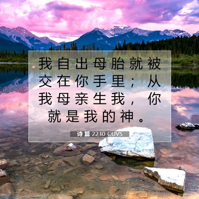 Picture 07 - 诗 篇 22:10 CUVS - 我 自 出 母 胎 就 被 交 在 你 手 里 - Bible Verse Picture