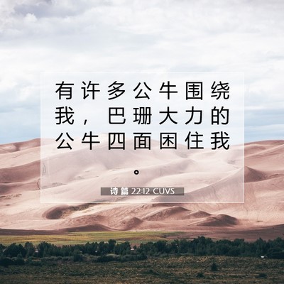 Picture 07 - 诗 篇 22:12 CUVS - 有 许 多 公 牛 围 绕 我 ， 巴 珊 大 - Bible Verse Picture