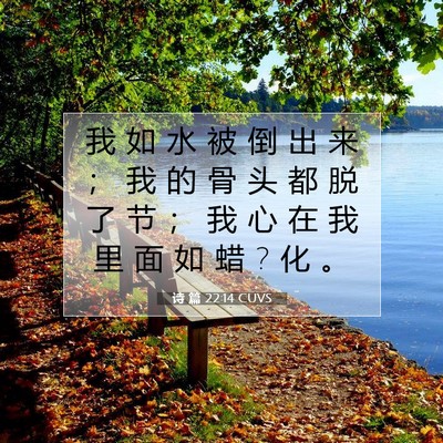 Picture 07 - 诗 篇 22:14 CUVS - 我 如 水 被 倒 出 来 ； 我 的 骨 头 - Bible Verse Picture