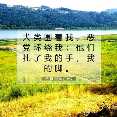 Picture 07 - 诗 篇 22:16 CUVS - 犬 类 围 着 我 ， 恶 党 环 绕 我 ； - Bible Verse Picture