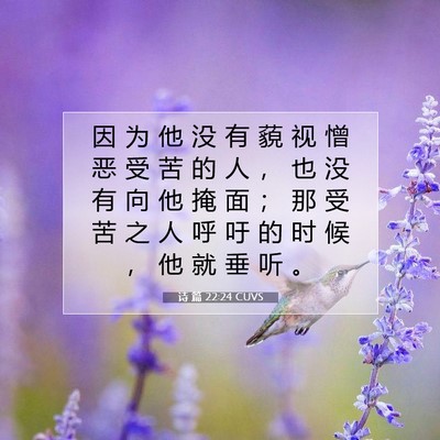 Picture 07 - 诗 篇 22:24 CUVS - 因 为 他 没 有 藐 视 憎 恶 受 苦 的 - Bible Verse Picture