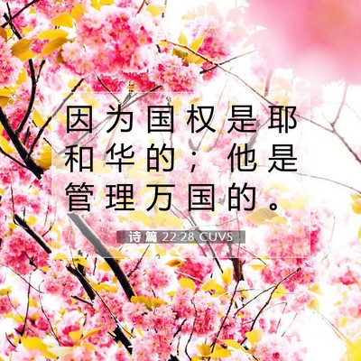 Picture 07 - 诗 篇 22:28 CUVS - 因 为 国 权 是 耶 和 华 的 ； 他 是 - Bible Verse Picture