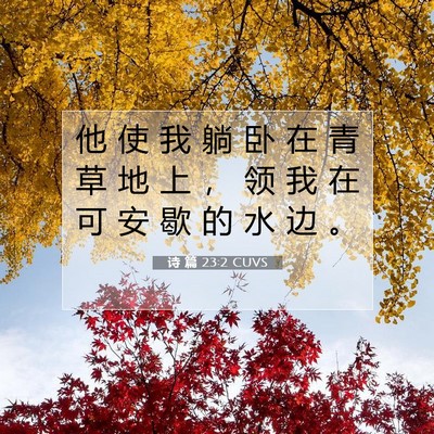 Picture 07 - 诗 篇 23:2 CUVS - 他 使 我 躺 卧 在 青 草 地 上 ， 领 - Bible Verse Picture