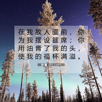 Picture 07 - 诗 篇 23:5 CUVS - 在 我 敌 人 面 前 ， 你 为 我 摆 设 - Bible Verse Picture
