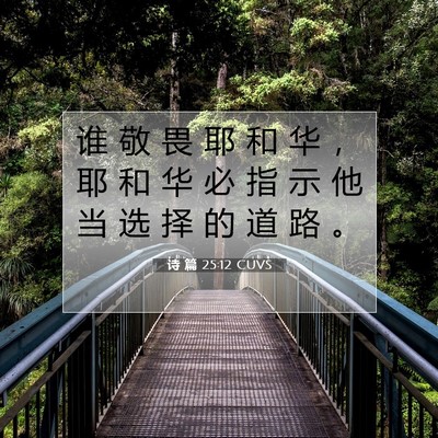 Picture 07 - 诗 篇 25:12 CUVS - 谁 敬 畏 耶 和 华 ， 耶 和 华 必 指 - Bible Verse Picture