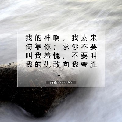 Picture 07 - 诗 篇 25:2 CUVS - 我 的 神 啊 ， 我 素 来 倚 靠 你 ； - Bible Verse Picture