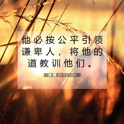 Picture 07 - 诗 篇 25:9 CUVS - 他 必 按 公 平 引 领 谦 卑 人 ， 将 - Bible Verse Picture