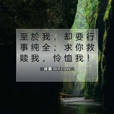 Picture 07 - 诗 篇 26:11 CUVS - 至 於 我 ， 却 要 行 事 纯 全 ； 求 - Bible Verse Picture