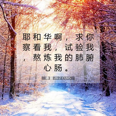 Picture 07 - 诗 篇 26:2 CUVS - 耶 和 华 啊 ， 求 你 察 看 我 ， 试 - Bible Verse Picture