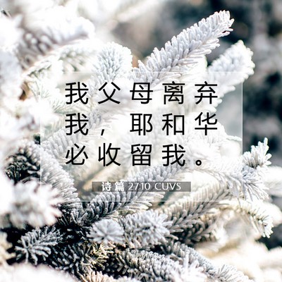 Picture 07 - 诗 篇 27:10 CUVS - 我 父 母 离 弃 我 ， 耶 和 华 必 收 - Bible Verse Picture