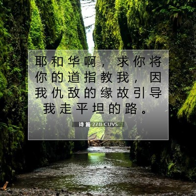 Picture 07 - 诗 篇 27:11 CUVS - 耶 和 华 啊 ， 求 你 将 你 的 道 指 - Bible Verse Picture