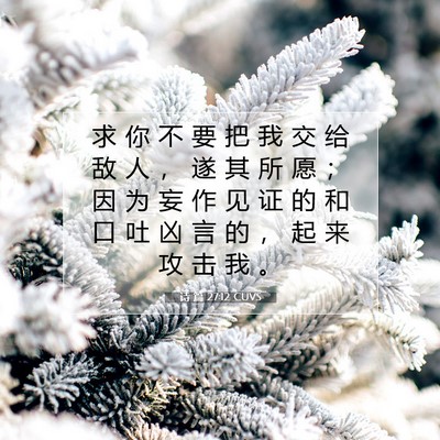 Picture 07 - 诗 篇 27:12 CUVS - 求 你 不 要 把 我 交 给 敌 人 ， 遂 - Bible Verse Picture