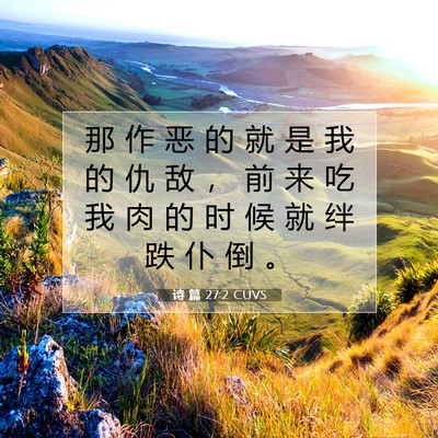 Picture 07 - 诗 篇 27:2 CUVS - 那 作 恶 的 就 是 我 的 仇 敌 ， 前 - Bible Verse Picture