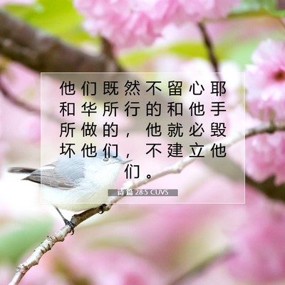 Picture 07 - 诗 篇 28:5 CUVS - 他 们 既 然 不 留 心 耶 和 华 所 行 - Bible Verse Picture