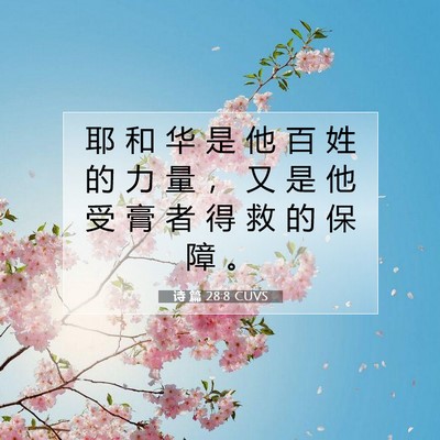 Picture 07 - 诗 篇 28:8 CUVS - 耶 和 华 是 他 百 姓 的 力 量 ， 又 - Bible Verse Picture