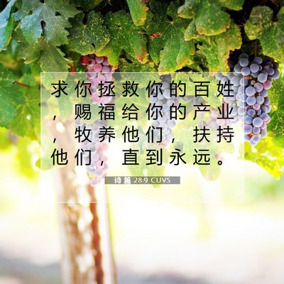 Picture 07 - 诗 篇 28:9 CUVS - 求 你 拯 救 你 的 百 姓 ， 赐 福 给 - Bible Verse Picture