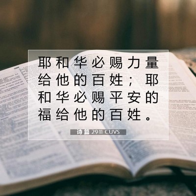 Picture 07 - 诗 篇 29:11 CUVS - 耶 和 华 必 赐 力 量 给 他 的 百 姓 - Bible Verse Picture